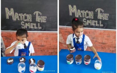“Match the Smell: A Sensory Learning Activity for Children”